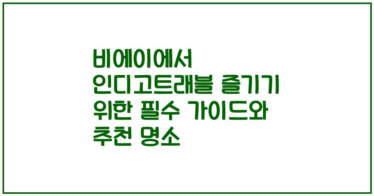 비에이에서 인디고트래블 즐기기 위한 필수 가이드와 추천 명소